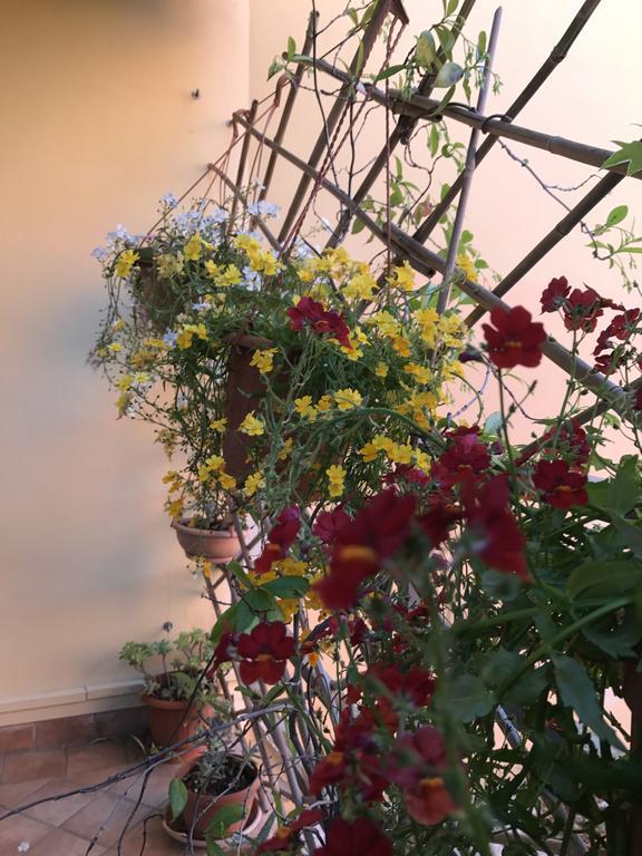 Lady Rose Bed & Breakfast Pise Extérieur photo